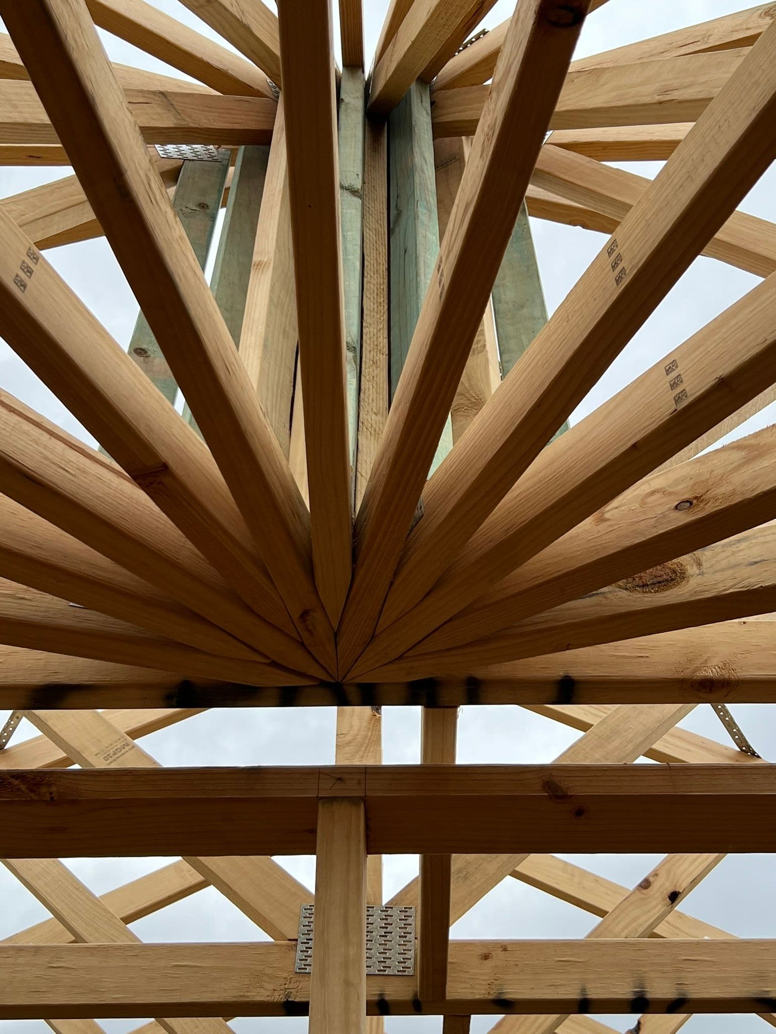 Custom Radial Truss Junction